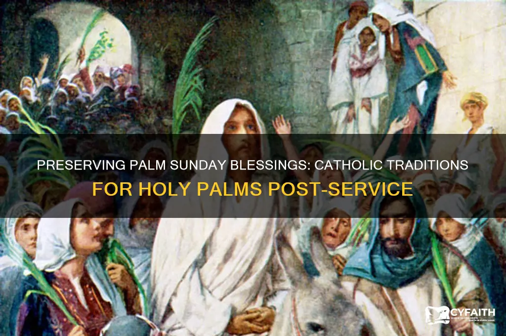 what do catholics do with palms after palm sunday