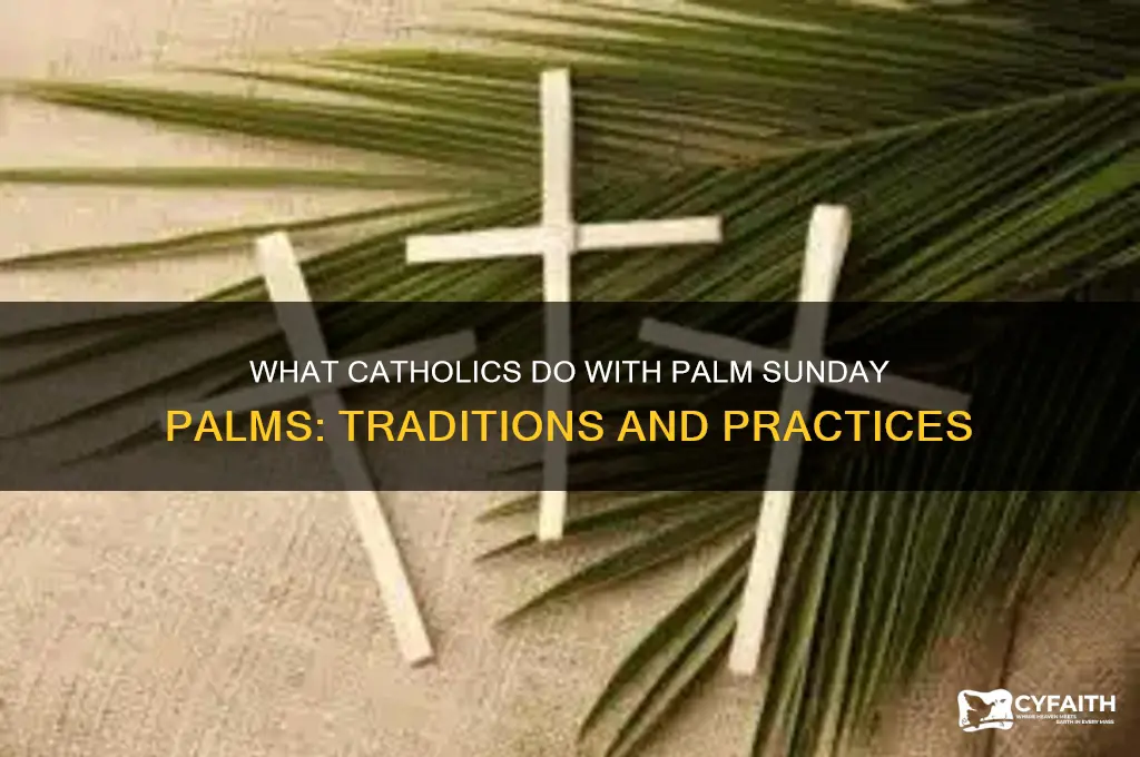 what do catholics do with palms