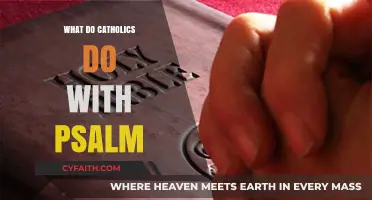 How Catholics Engage with Psalms in Prayer and Worship