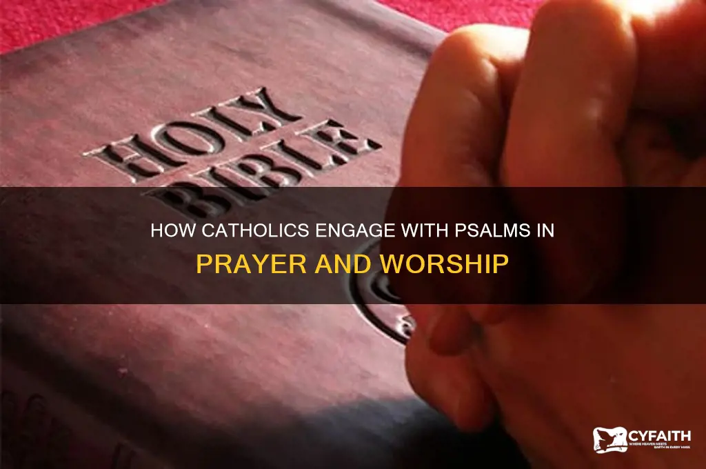 what do catholics do with psalm