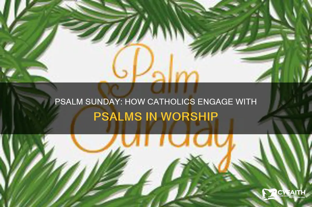 what do catholics do with psalms on psalm sunday