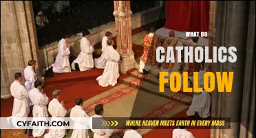 Understanding Catholic Faith: Core Beliefs, Practices, and Traditions Explained