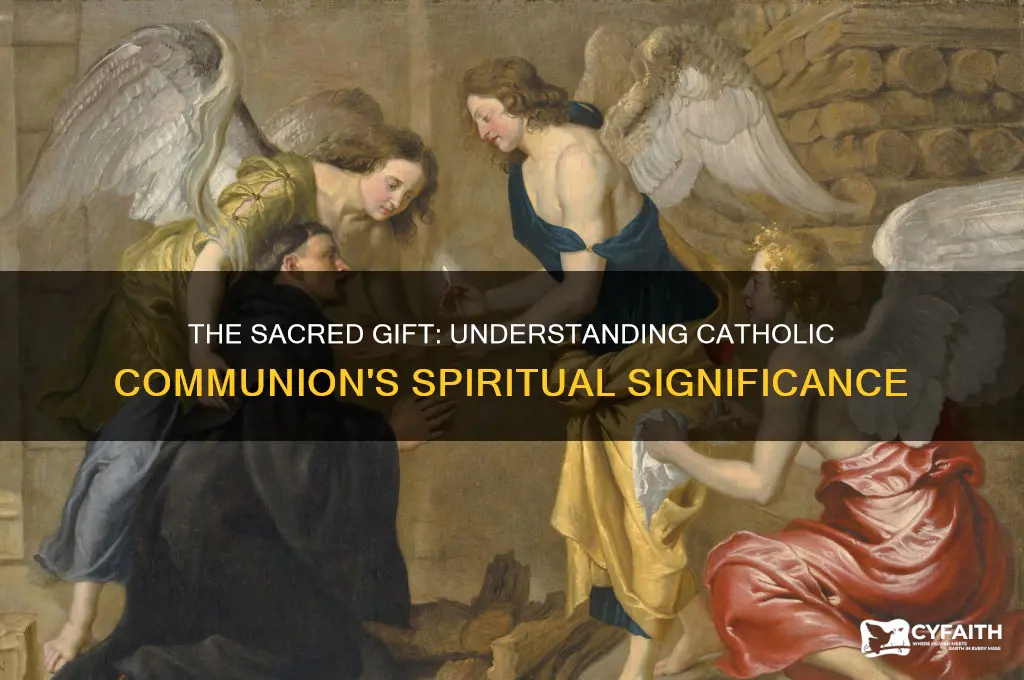 what do catholics get when they do communion