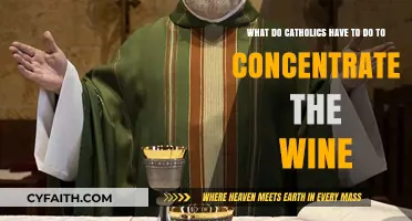 Catholic Wine Consecration: Practices for Focusing on the Eucharist