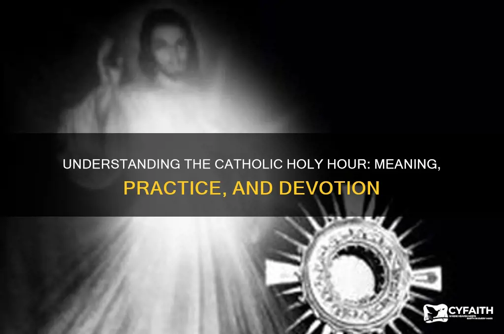 what do catholics mesn by the holy hour