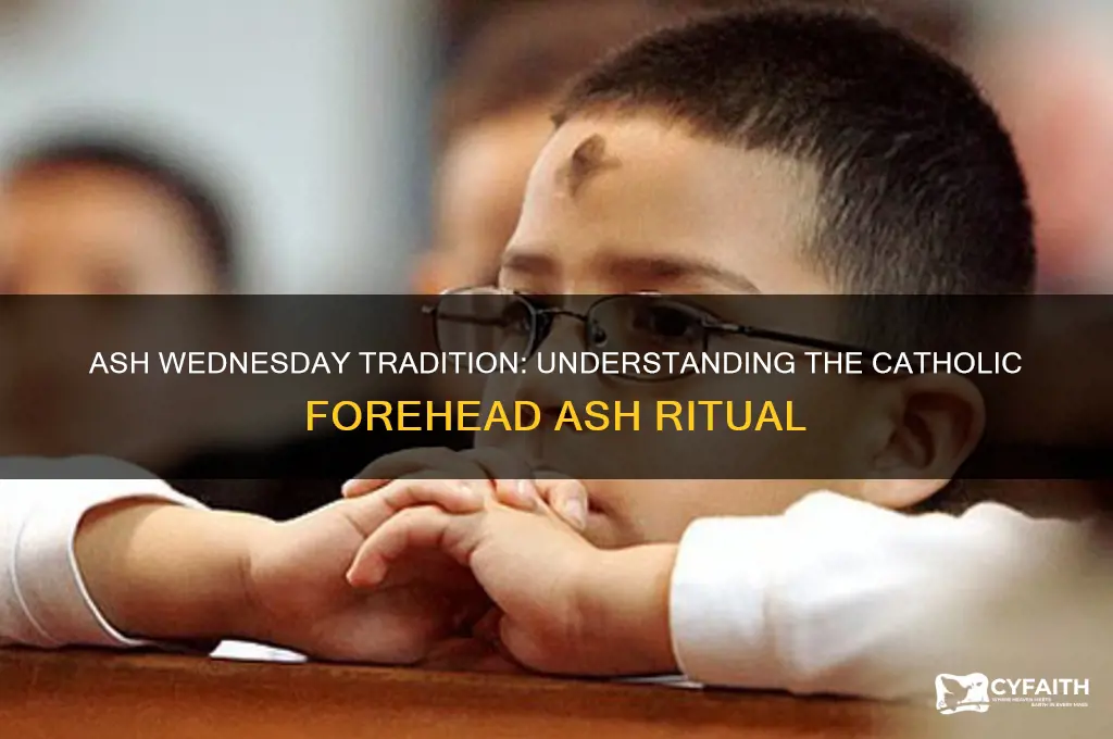 what do catholics put on their forehead on ash wednesday