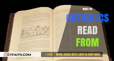 Sacred Texts: Understanding What Catholics Read and Study Daily