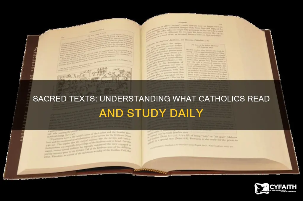 what do catholics read from