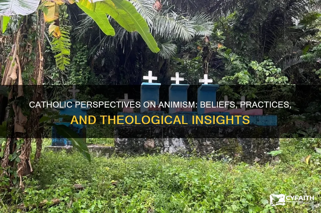 what do catholics say about animism