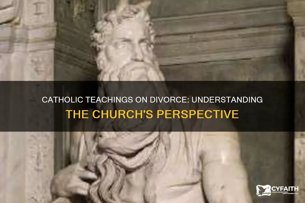 what do catholics say about divorce