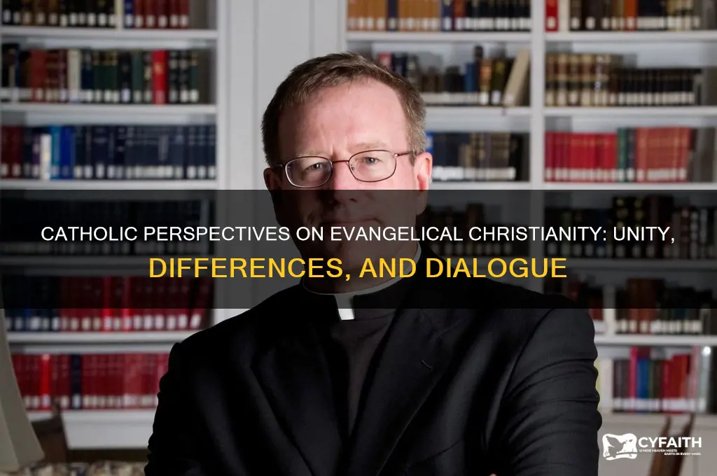 what do catholics say about evangelical christians