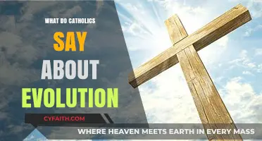 Catholics and Evolution: Reconciling Faith with Scientific Understanding