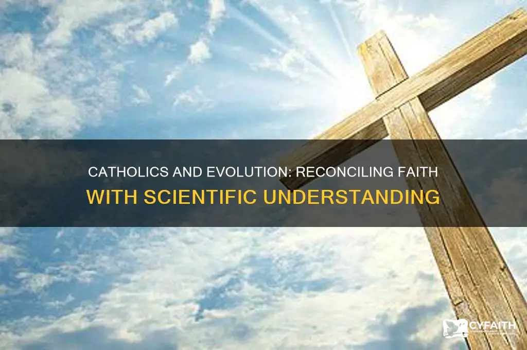 what do catholics say about evolution