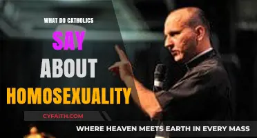 Catholic Teachings on Homosexuality: Understanding the Church's Perspective