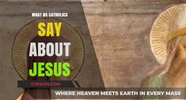 Understanding Catholic Beliefs: Who Jesus Is and What He Means