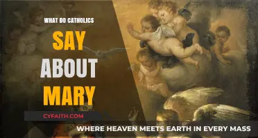 Mary in Catholicism: Beliefs, Roles, and Devotional Practices Explained