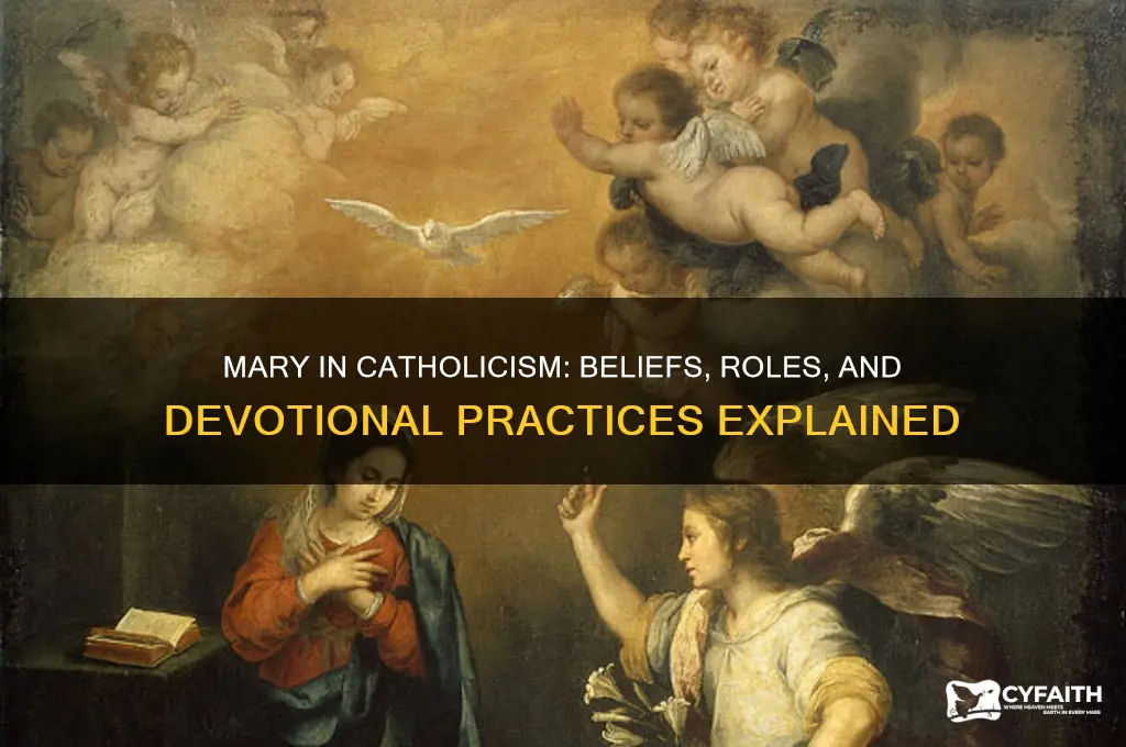 what do catholics say about mary