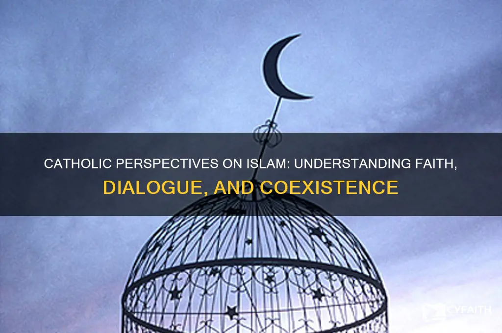 what do catholics say about muslims
