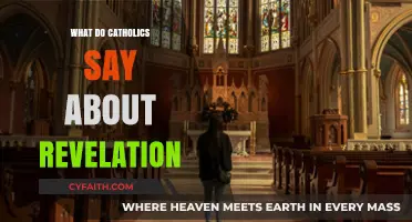 Catholic Perspectives on Revelation: Understanding Divine Communication and Faith