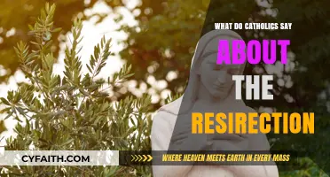 Catholic Beliefs on the Resurrection: Hope, Faith, and Eternal Life Explained
