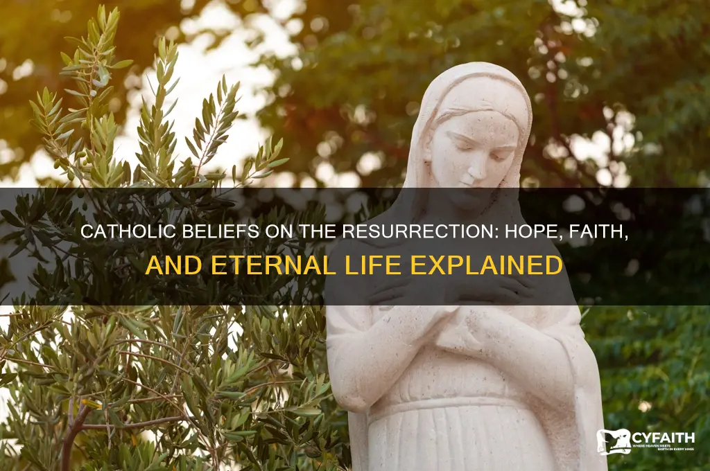 what do catholics say about the resirection