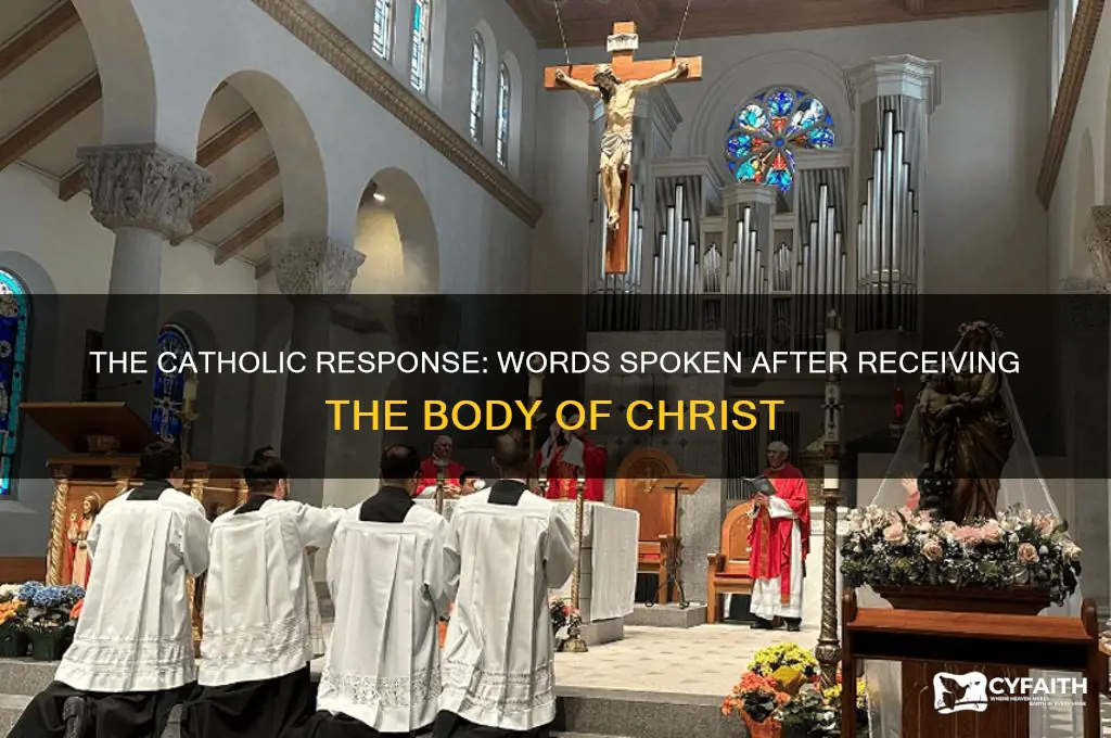 what do catholics say after the body of christ