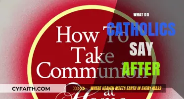 What Catholics Recite: Post-Communion Prayers and Daily Devotional Responses
