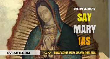 Understanding Catholic Beliefs: Who is Mary and Her Role in Faith