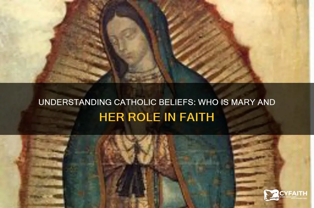 what do catholics say mary ias