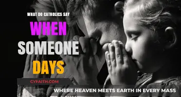 Catholic Responses to 'Someone Died': Prayers, Rituals, and Eternal Hope