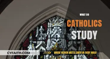Exploring Catholic Studies: Faith, Tradition, and Sacred Scriptures Unveiled