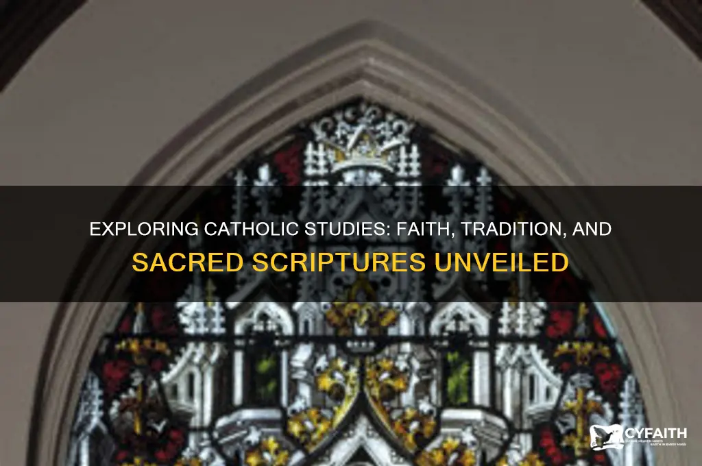 what do catholics study