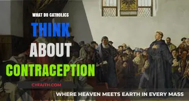 Catholic Views on Contraception: Understanding the Church's Teachings and Beliefs
