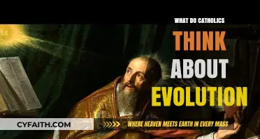 Catholic Perspectives on Evolution: Faith, Science, and Creation Beliefs