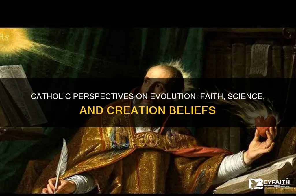 what do catholics think about evolution