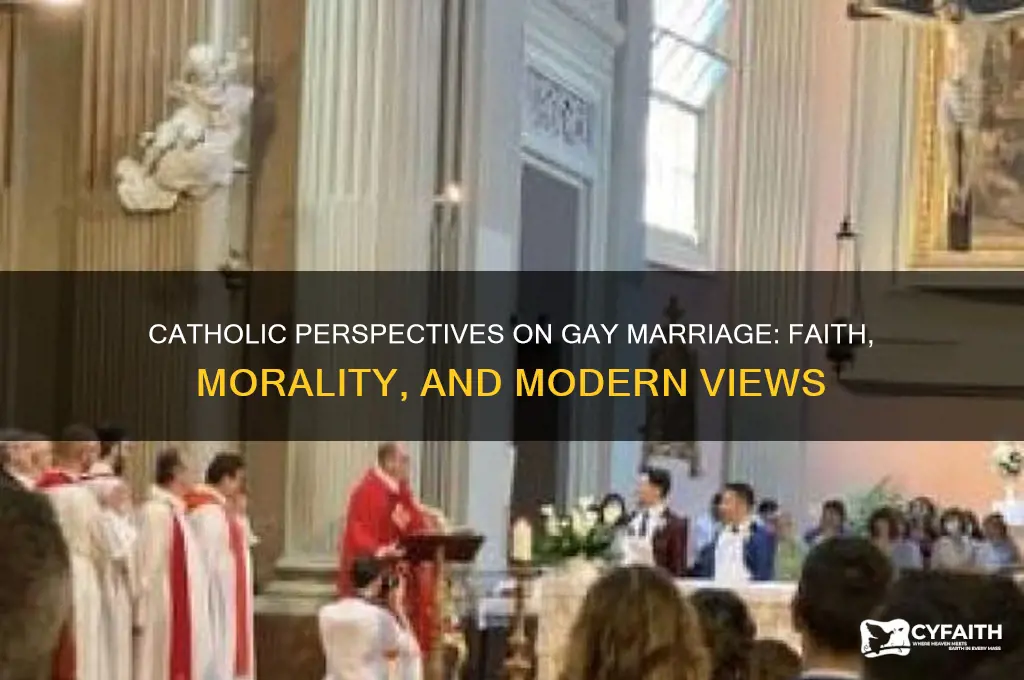 what do catholics think about gay marriage