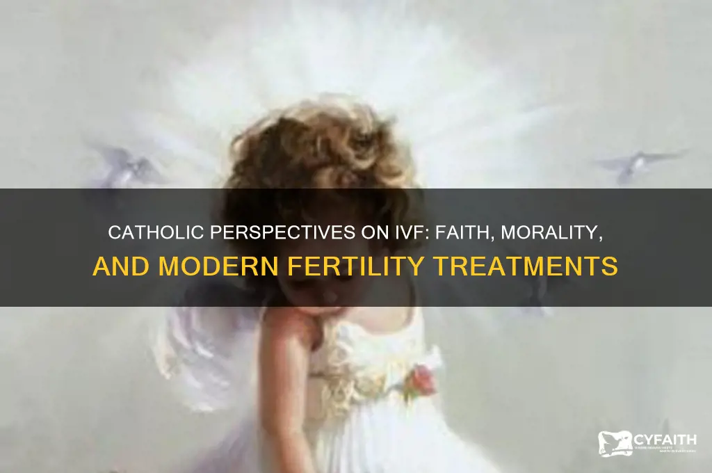 what do catholics think about ivf
