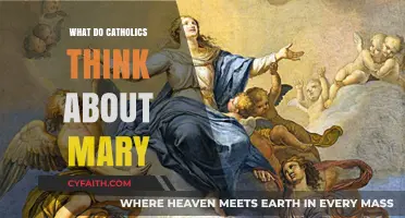 Mary in Catholicism: Beliefs, Veneration, and Her Role in Faith