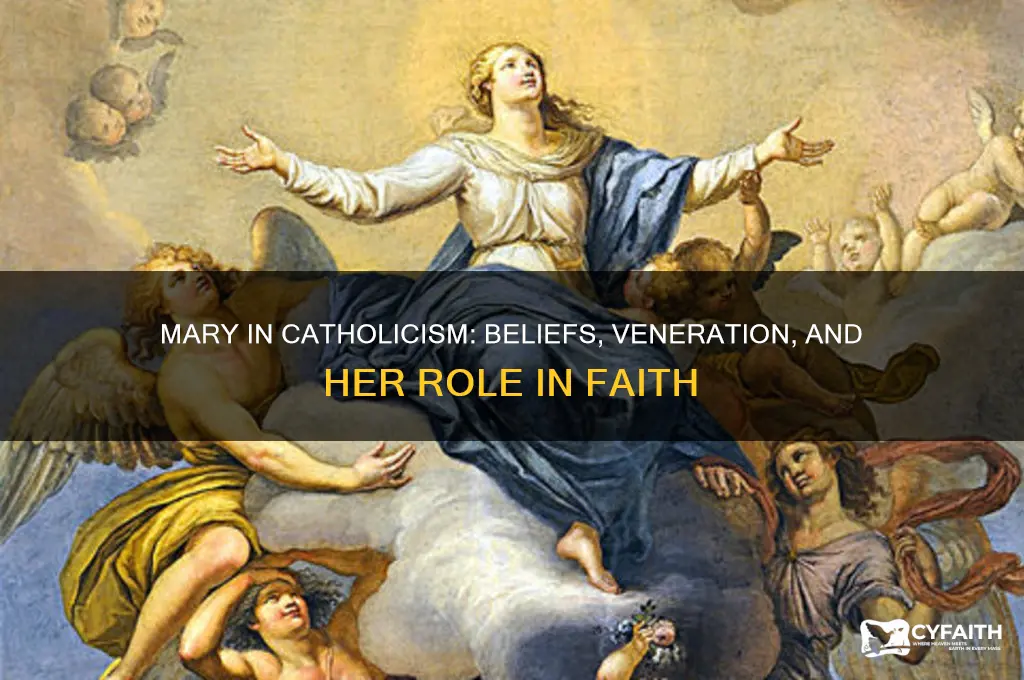 what do catholics think about mary