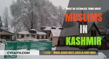 Catholic Perspectives on Muslim Life and Struggles in Kashmir