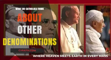 Catholic Perspectives on Other Christian Denominations: Unity and Diversity
