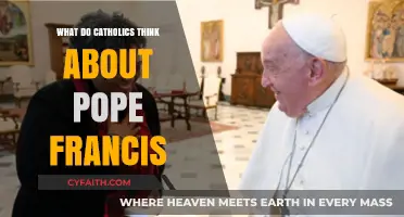 Pope Francis: Catholic Perspectives on His Leadership and Legacy