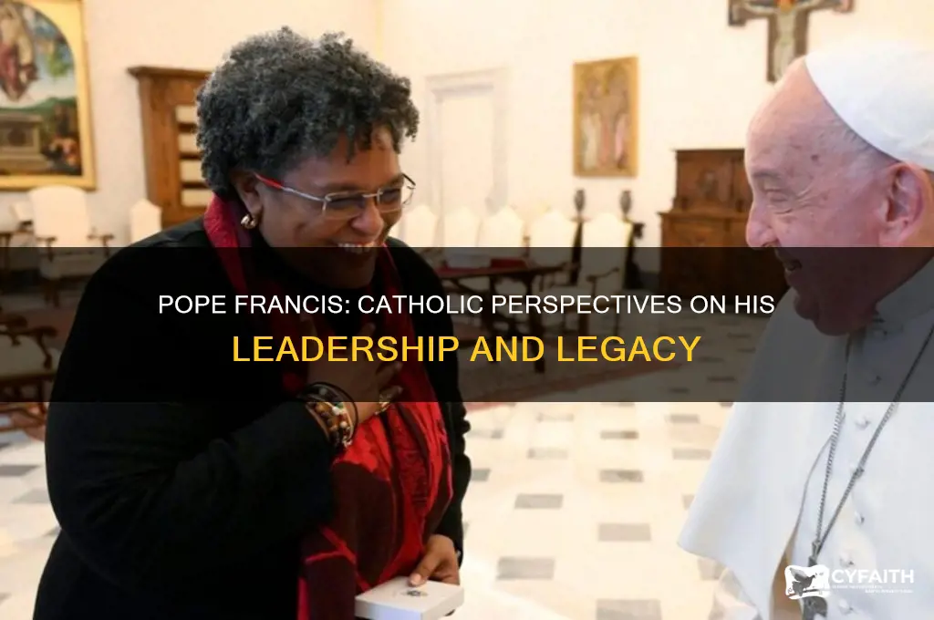 what do catholics think about pope francis