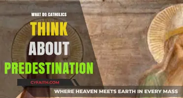 Catholic Perspectives on Predestination: Grace, Free Will, and Salvation
