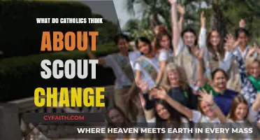Catholic Perspectives on Scout Changes: Faith, Tradition, and Adaptation