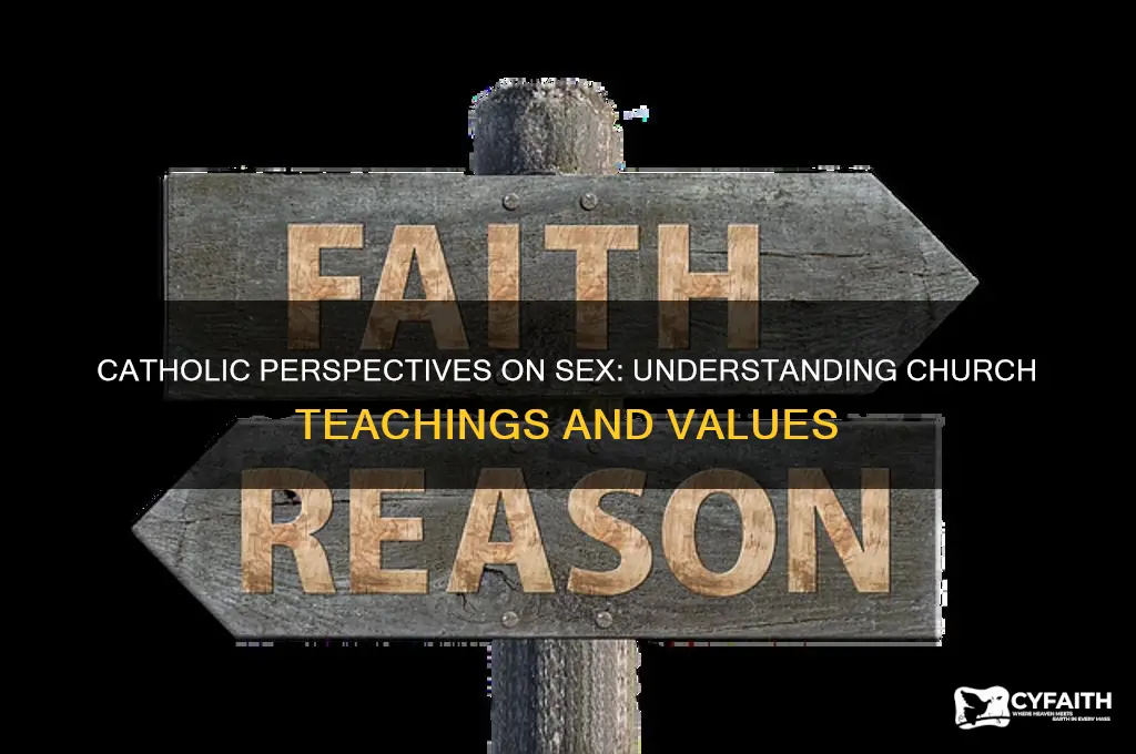 what do catholics think about sex