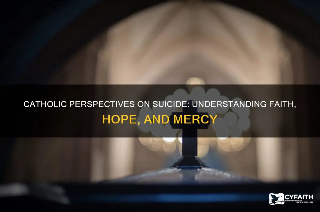 what do catholics think about suicide