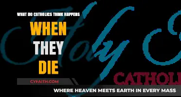 Catholic Beliefs on Death: Eternal Life, Judgment, and Heaven Explained