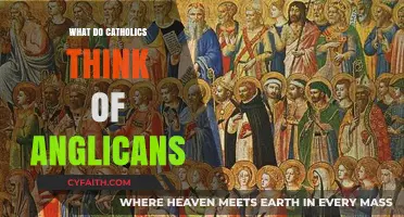 Catholics and Anglicans: Shared Faith, Distinct Traditions, Mutual Respect