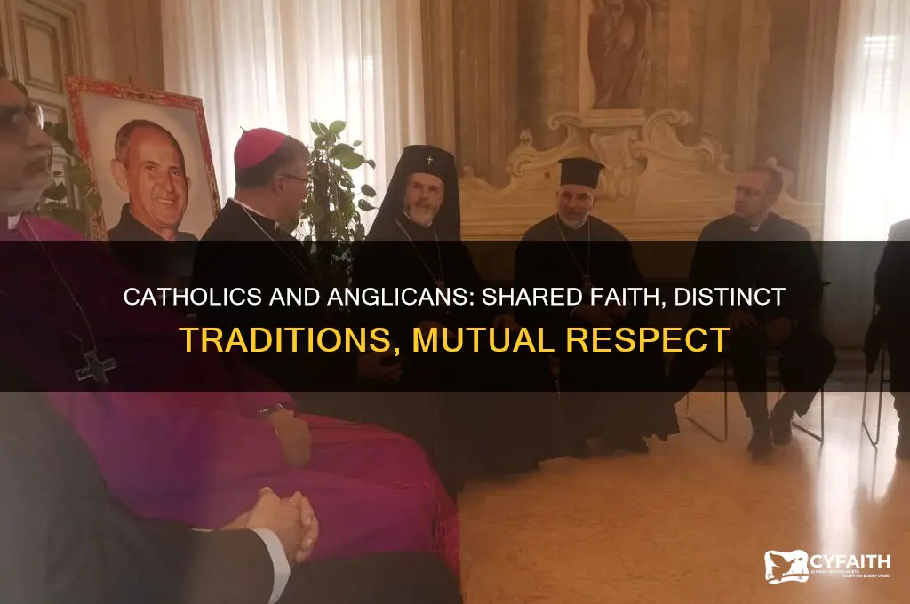 what do catholics think of anglicans